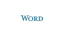 WordPressプラグイン開発